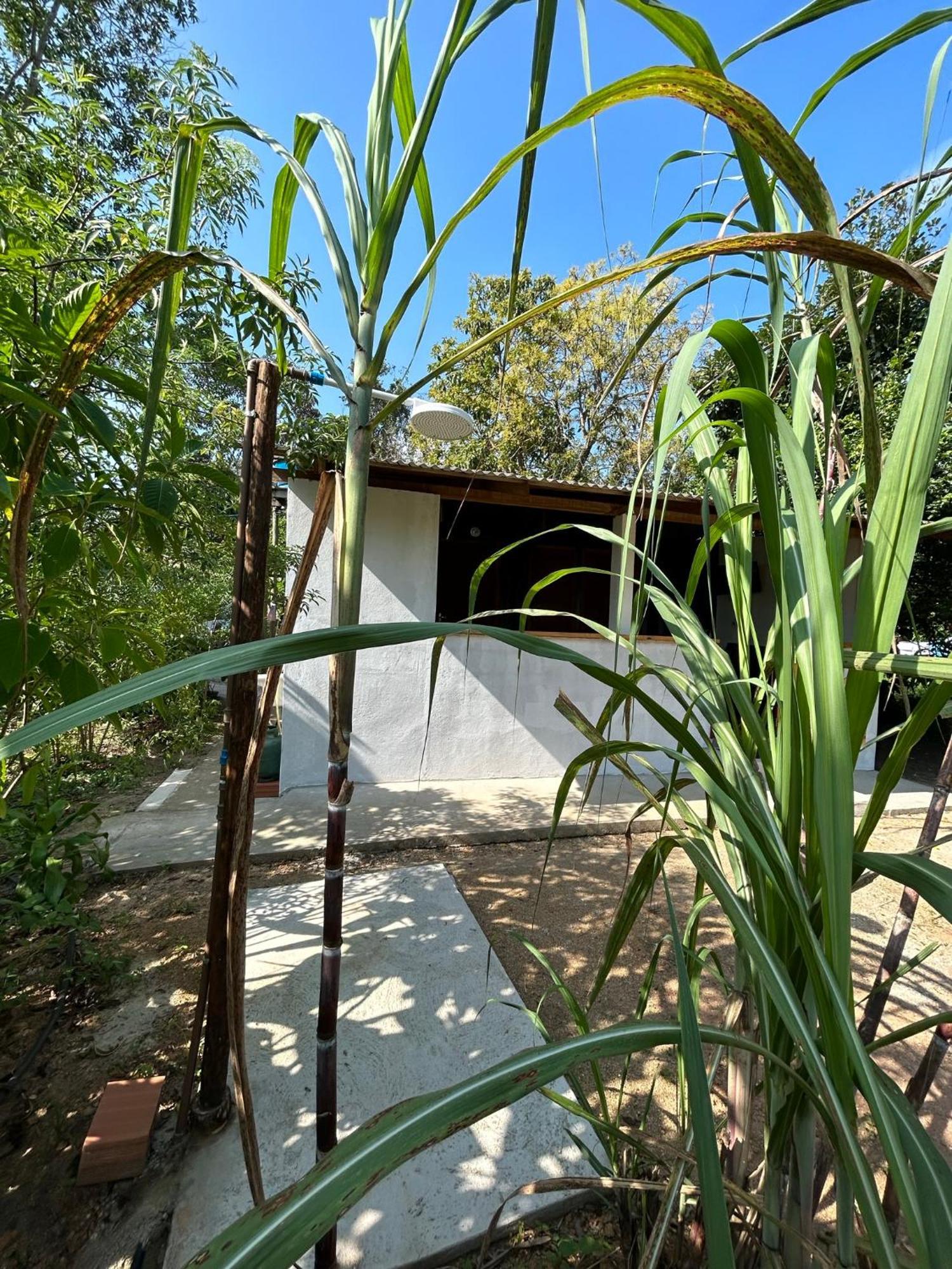 Casa Beira-mar Em Do Ubatumirim Pousada Ubatuba